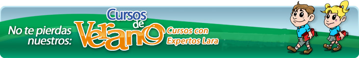 Cursos de Verano